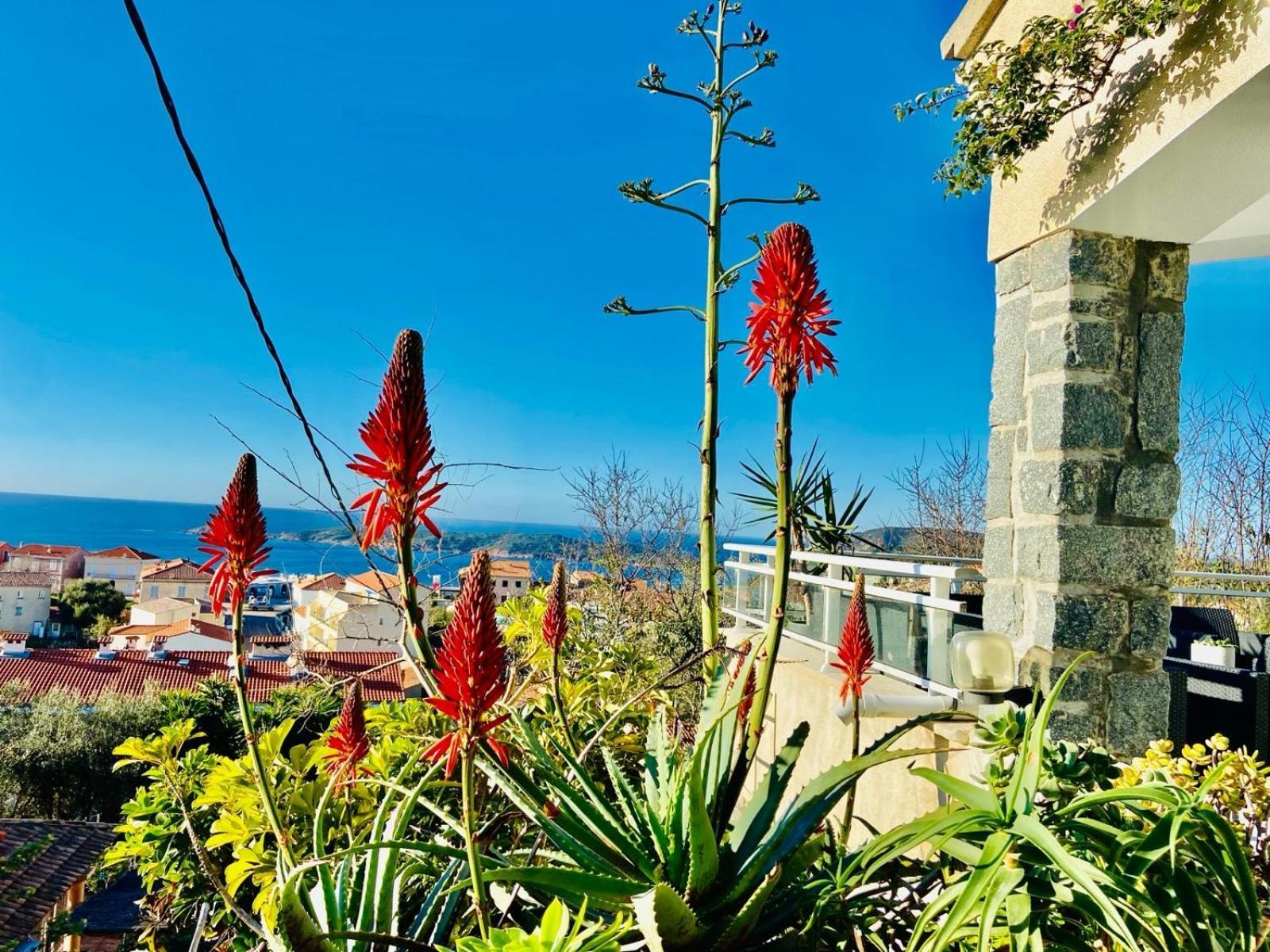 Villa Montalbo Vue Mer De 2 A 10 Personnes Cargèse Exteriör bild